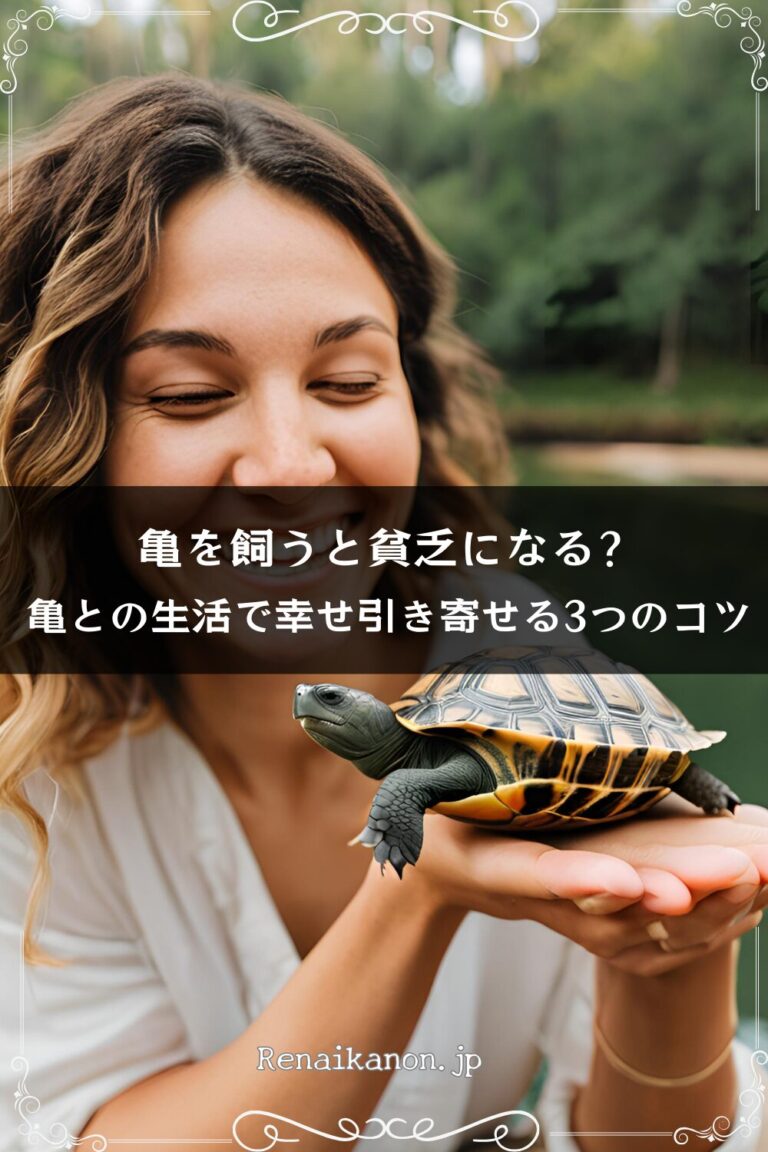 亀を飼うと貧乏になる?亀との生活で幸せ引き寄せる3つのコツ | 恋愛カノン