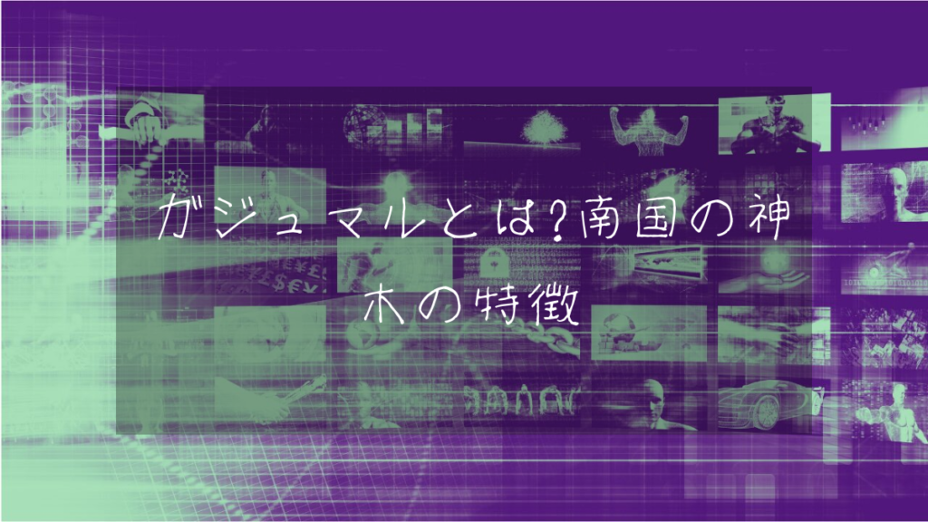 ガジュマルとは？南国の神木の特徴