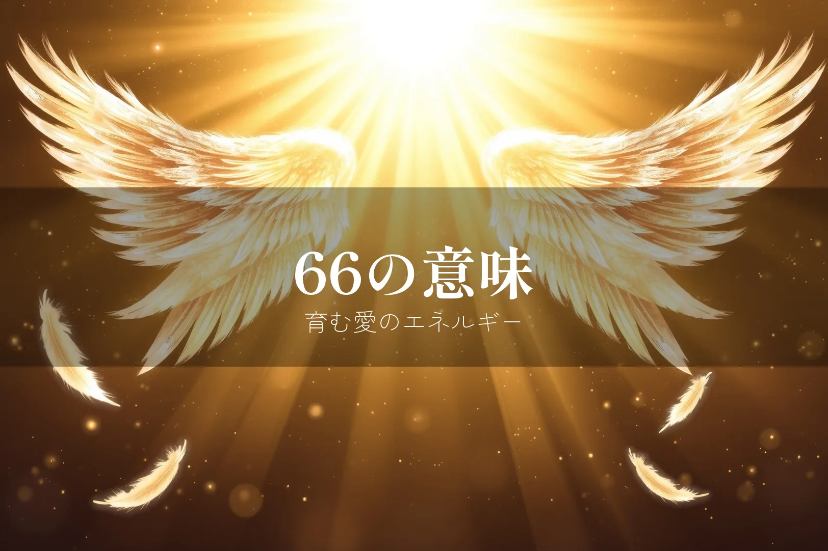 66の意味