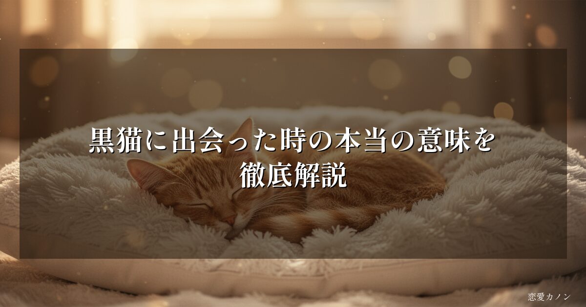 黒猫に出会った時の本当の意味を徹底解説